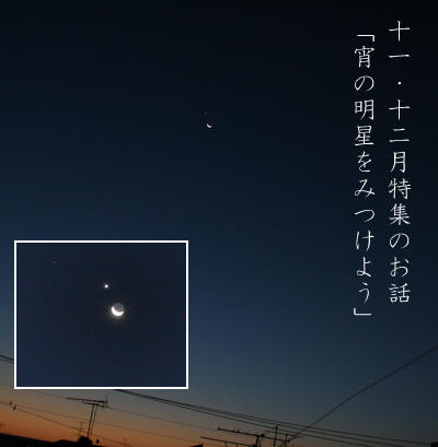 11月の投影案内